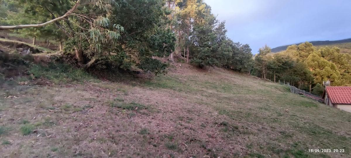 Terreno en venta en A Cañiza, Pontevedra photo 5