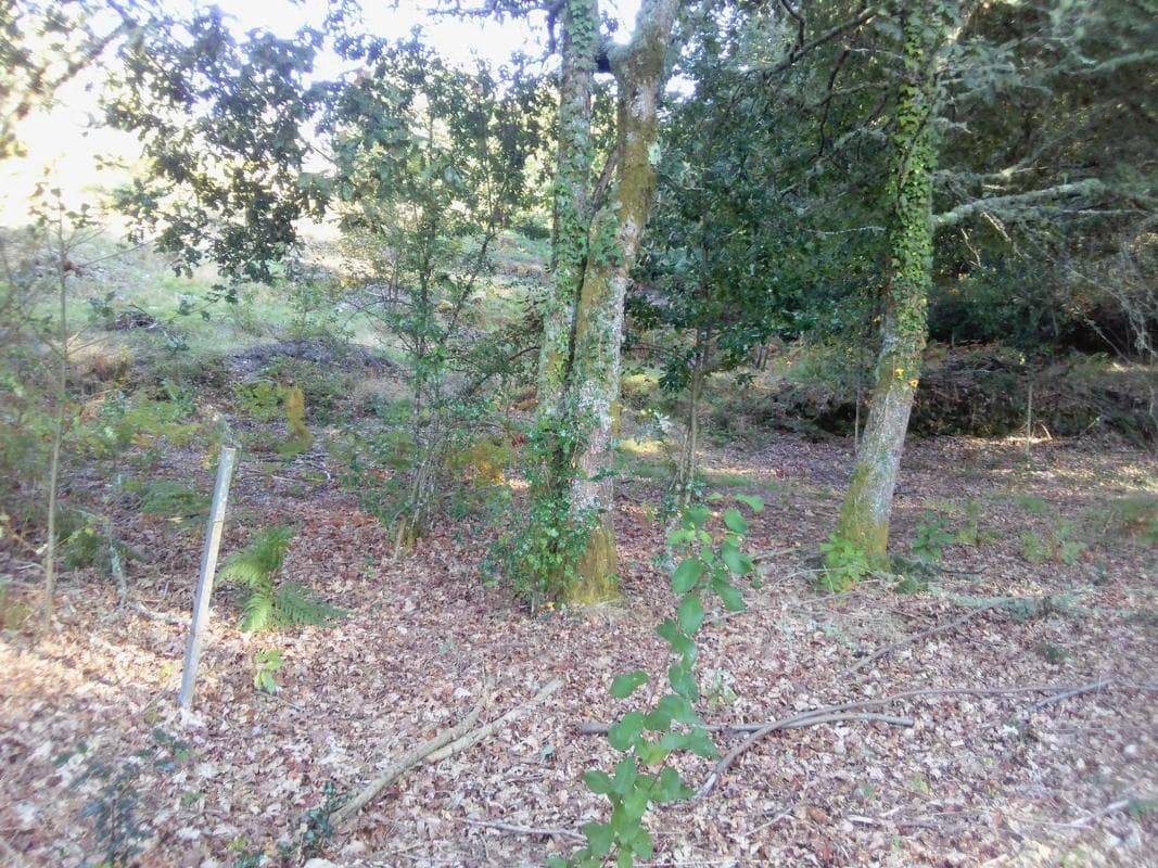 Terreno en venta en Fornelos, Pontevedra photo 2