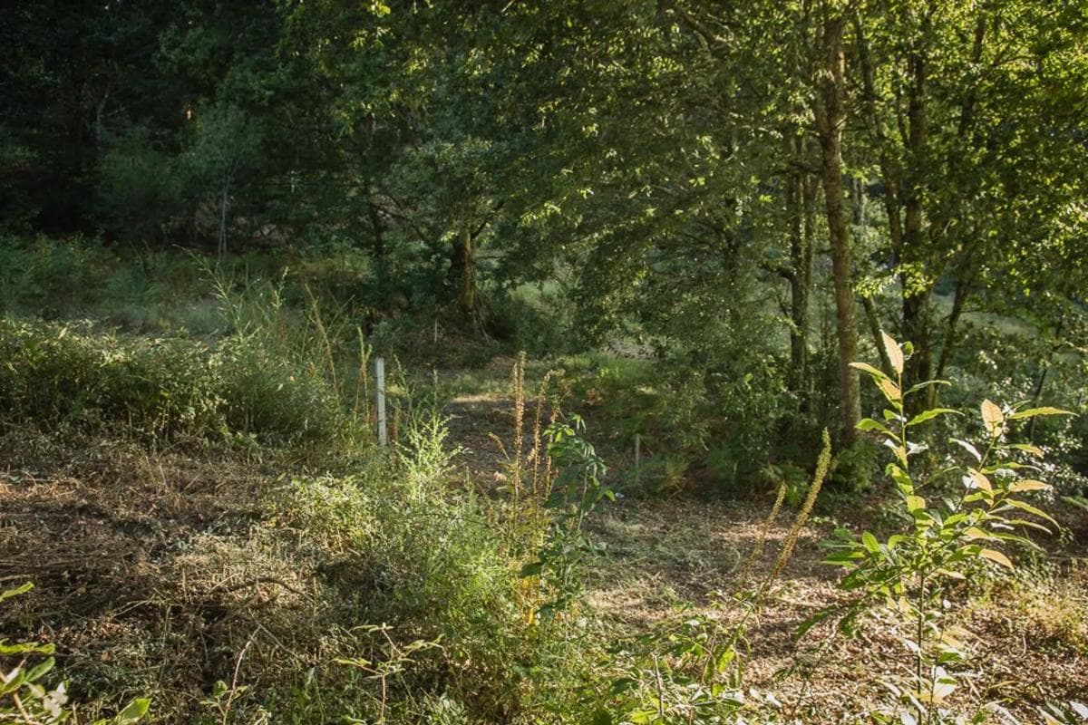 Terreno en venta en Fornelos, Pontevedra photo 4