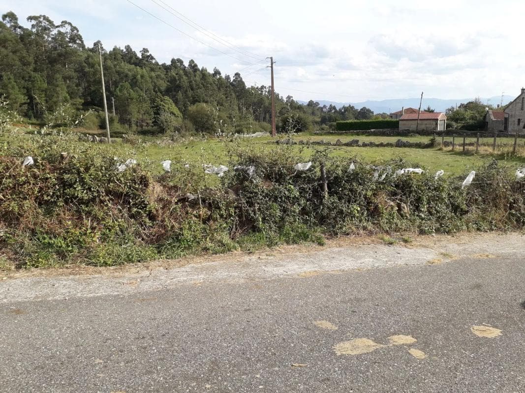Terreno en venta en A Cañiza, Pontevedra photo 5