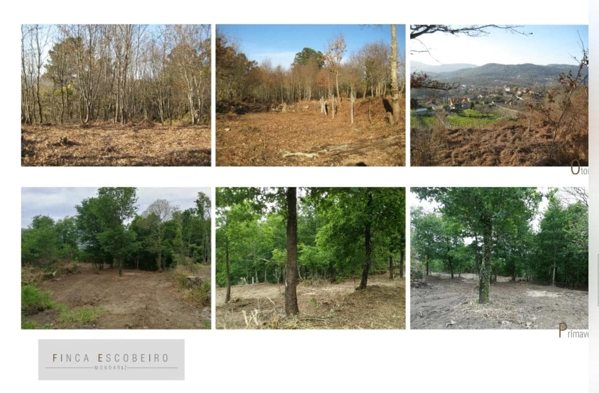 Terreno en venta en Mondariz-Balneario, Pontevedra photo 2