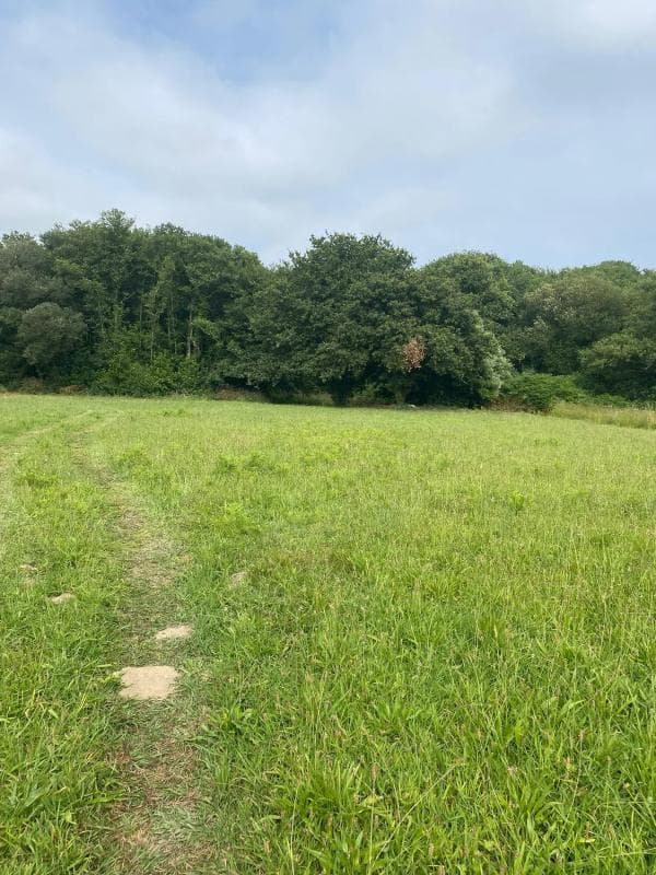 Terreno en venta en Cangas, Pontevedra photo 3