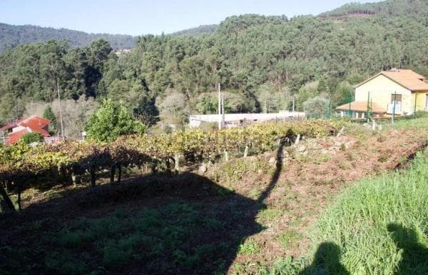 Terreno en calle Reibón photo 2