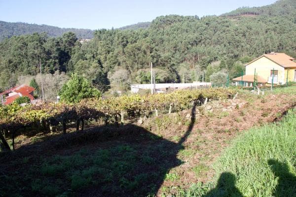 Terreno en calle Couso (Meira), 39 Bis photo 1