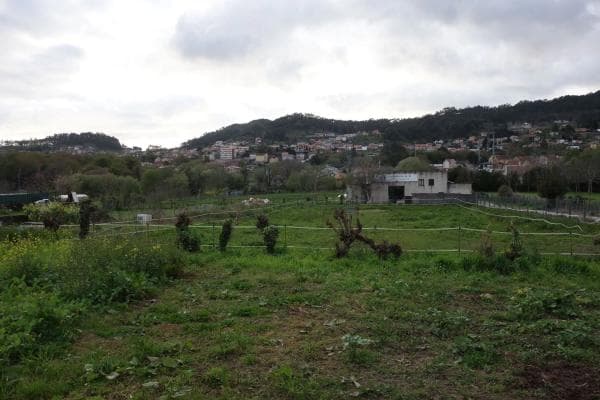Terreno en Coiro photo 4