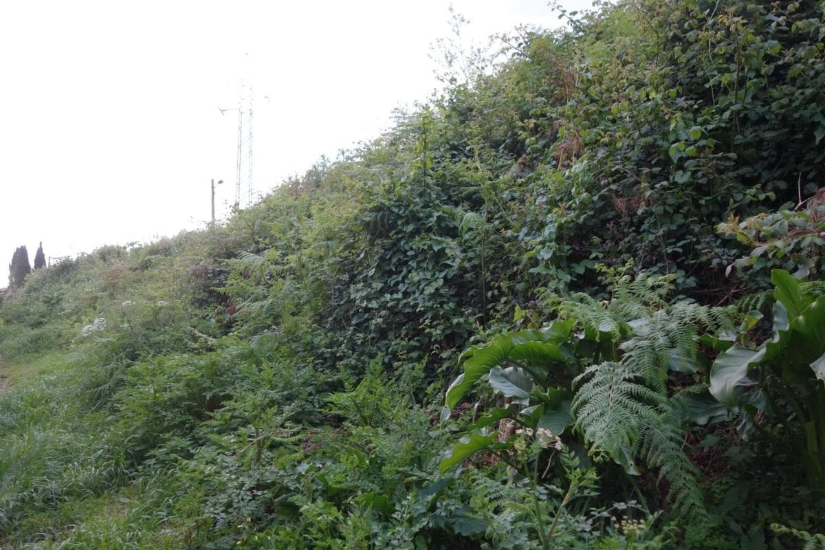Terreno en venta en Cangas, Pontevedra photo 3