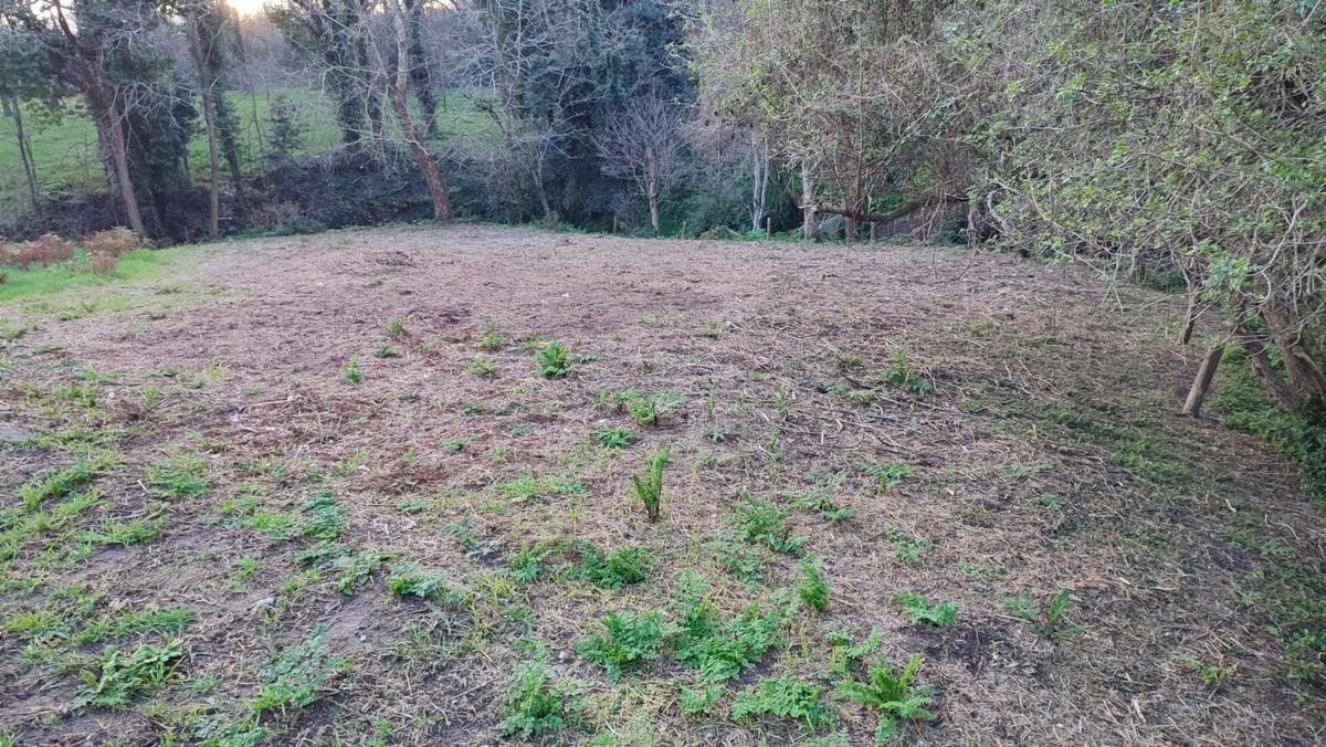 Terreno en venta en Moaña, Pontevedra photo 2