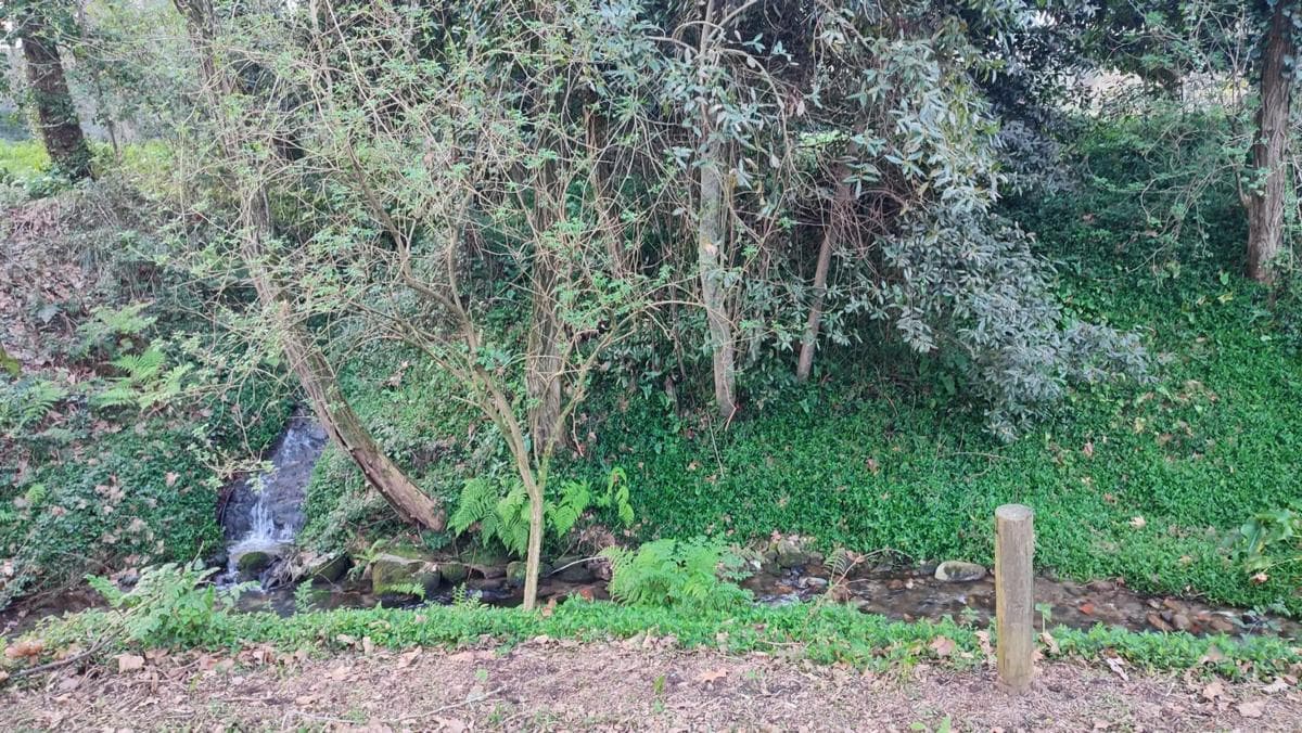Terreno en venta en Moaña, Pontevedra photo 5