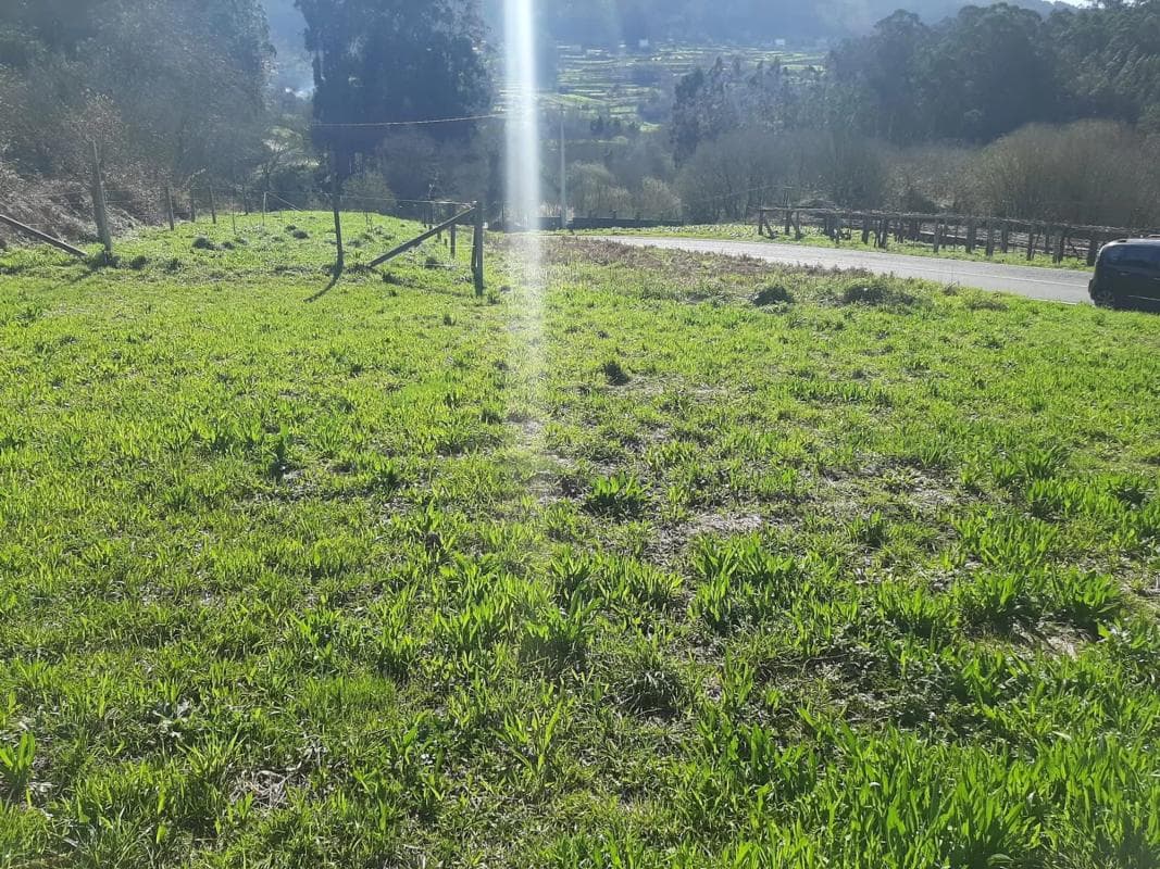 Terreno en venta en Marin, Pontevedra photo 3