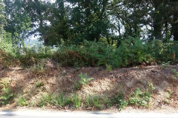 Terreno en Coiro photo 4