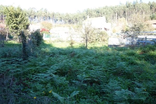 Terreno en Darbo photo 4
