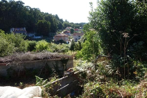Terreno en Coiro photo 4