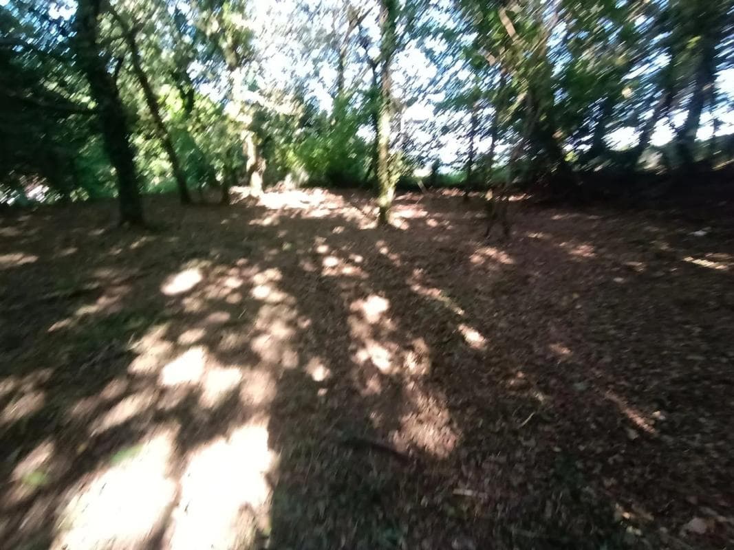 Terreno en venta en Poio, Pontevedra photo 3