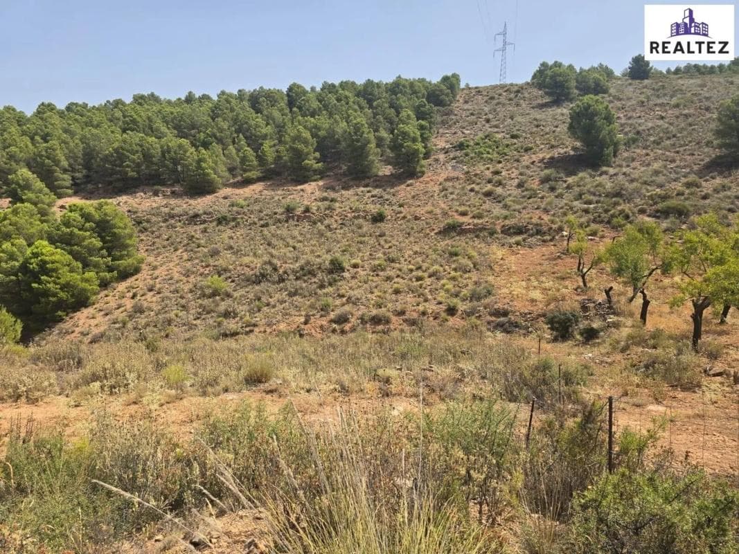 Terreno en venta en Alcolea, Almería photo 2