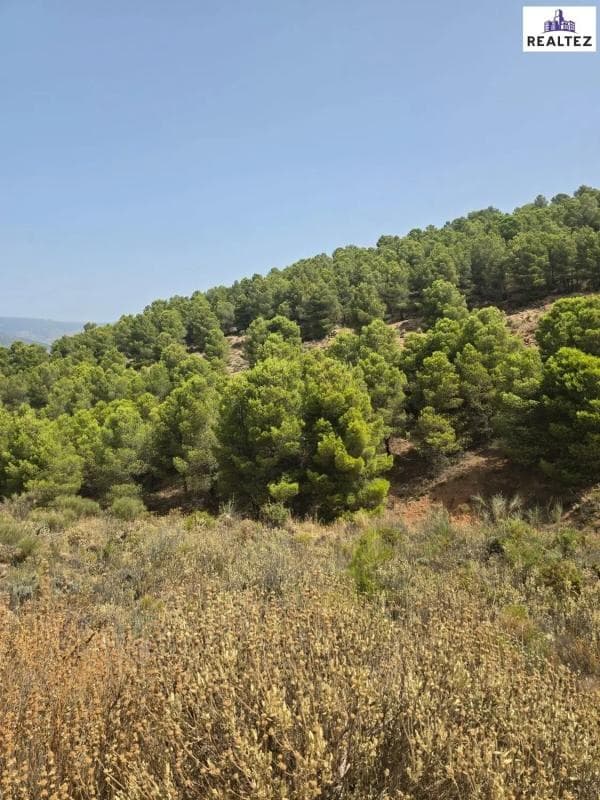 Terreno en venta en Alcolea, Almería photo 4