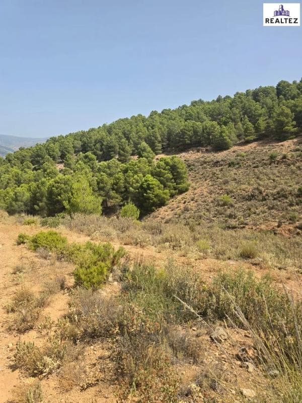 Terreno en venta en Alcolea, Almería photo 5