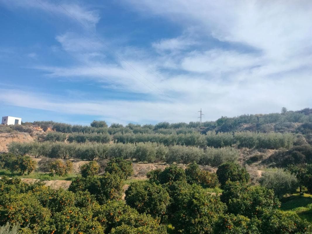 Terreno en venta en Illar, Almería photo 5