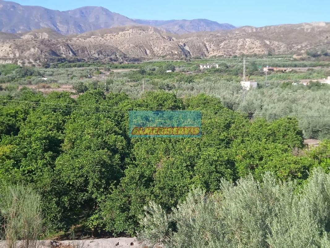 Terreno en venta en Santa Cruz, Almería photo 5