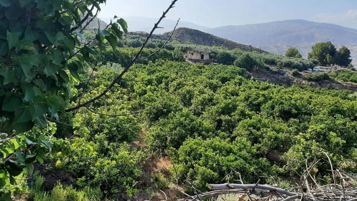 Terreno en venta en Illar, Almería photo 2
