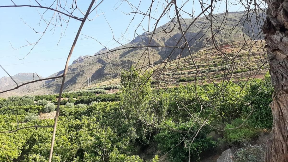 Terreno en venta en Illar, Almería photo 3