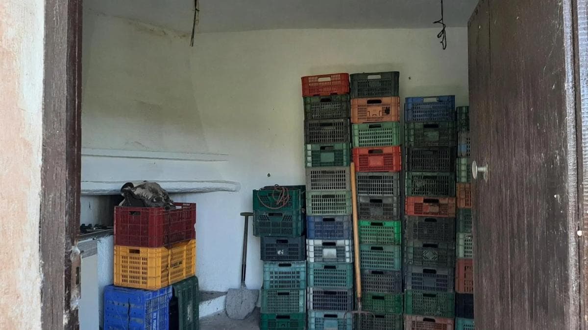 Terreno en venta en Illar, Almería photo 5