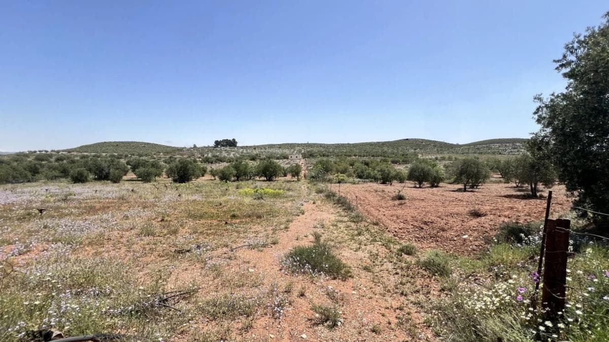 Terreno en venta en Alboloduy, Almería photo 2