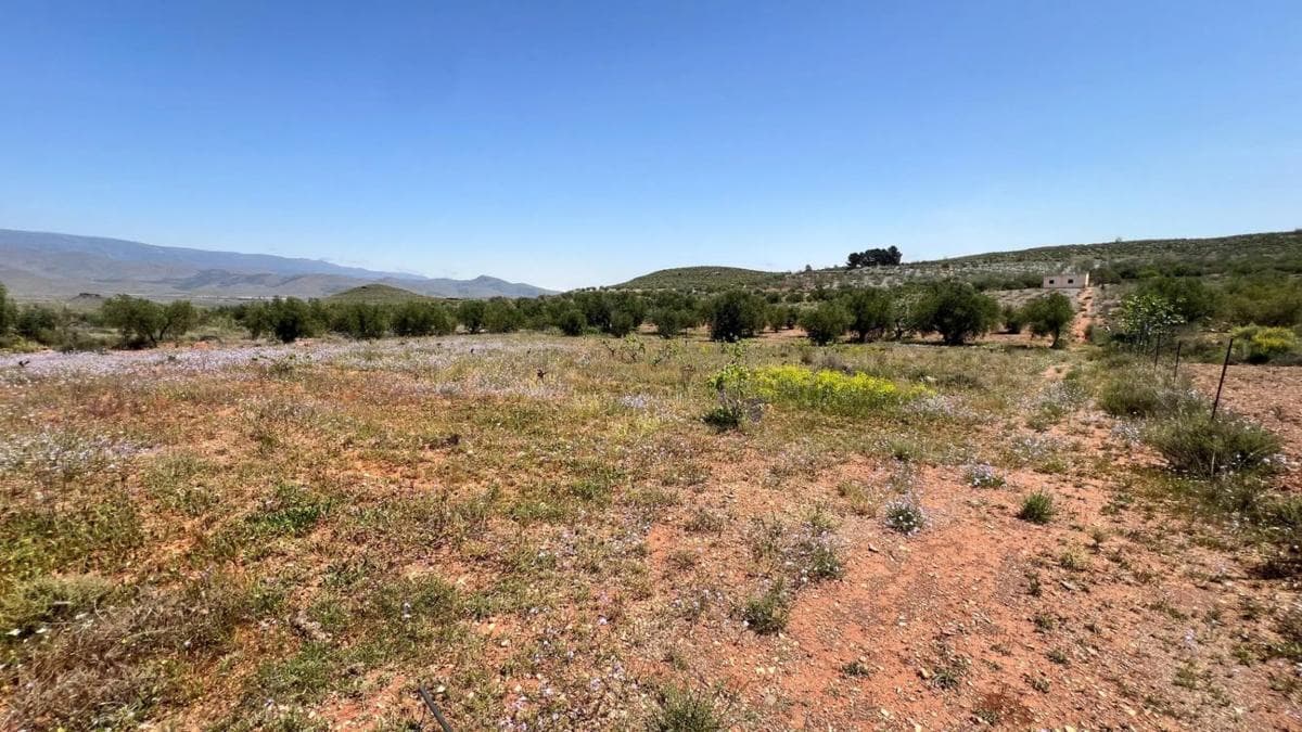 Terreno en venta en Alboloduy, Almería photo 3