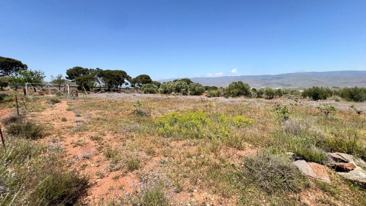 Terreno en venta en Alboloduy, Almería photo 4