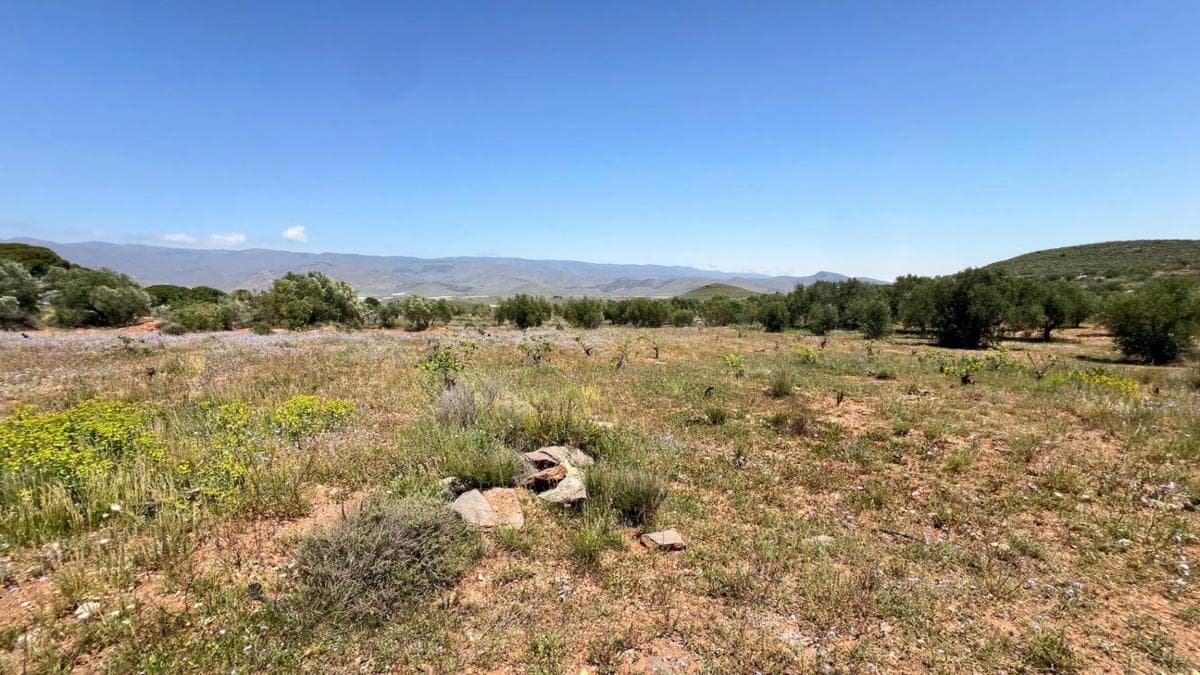 Terreno en venta en Alboloduy, Almería photo 5