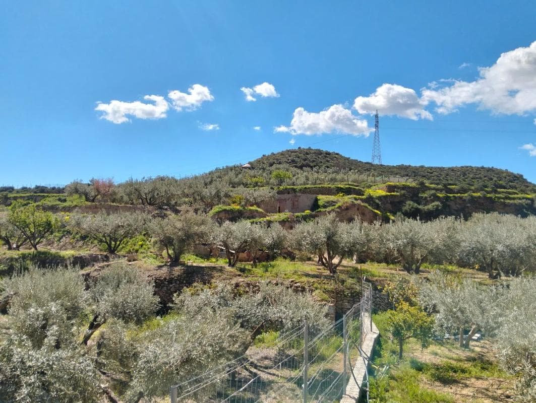 Terreno en venta en Alhama de Almería, Almería photo 3
