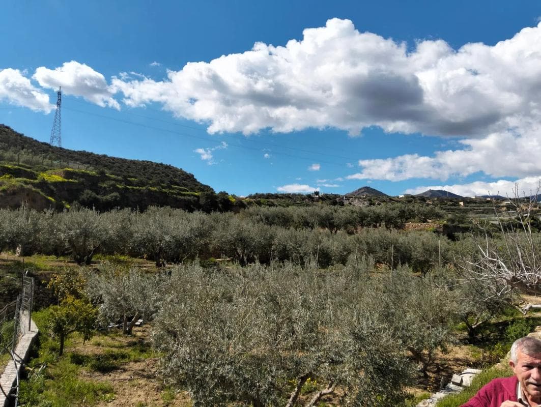 Terreno en venta en Alhama de Almería, Almería photo 5