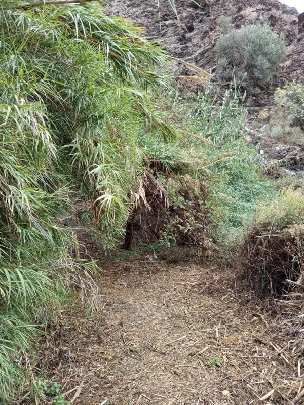 Terreno en venta en Ohanes, Almería photo 3