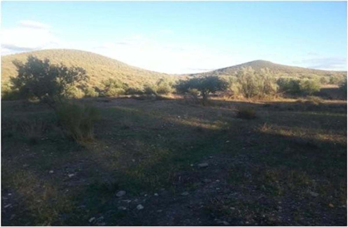 Terreno en venta en Alboloduy, Almería photo 4