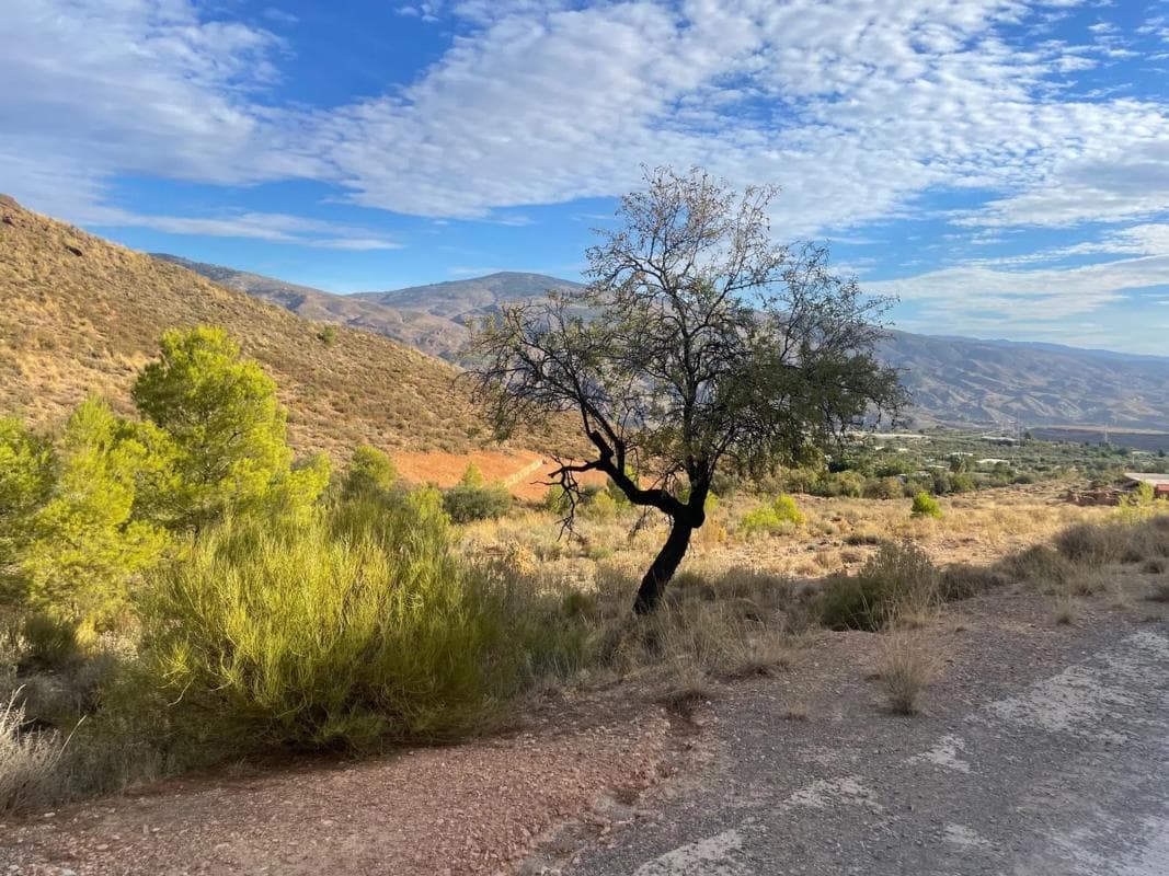 Terreno en venta en Canjayar, Almería photo 3