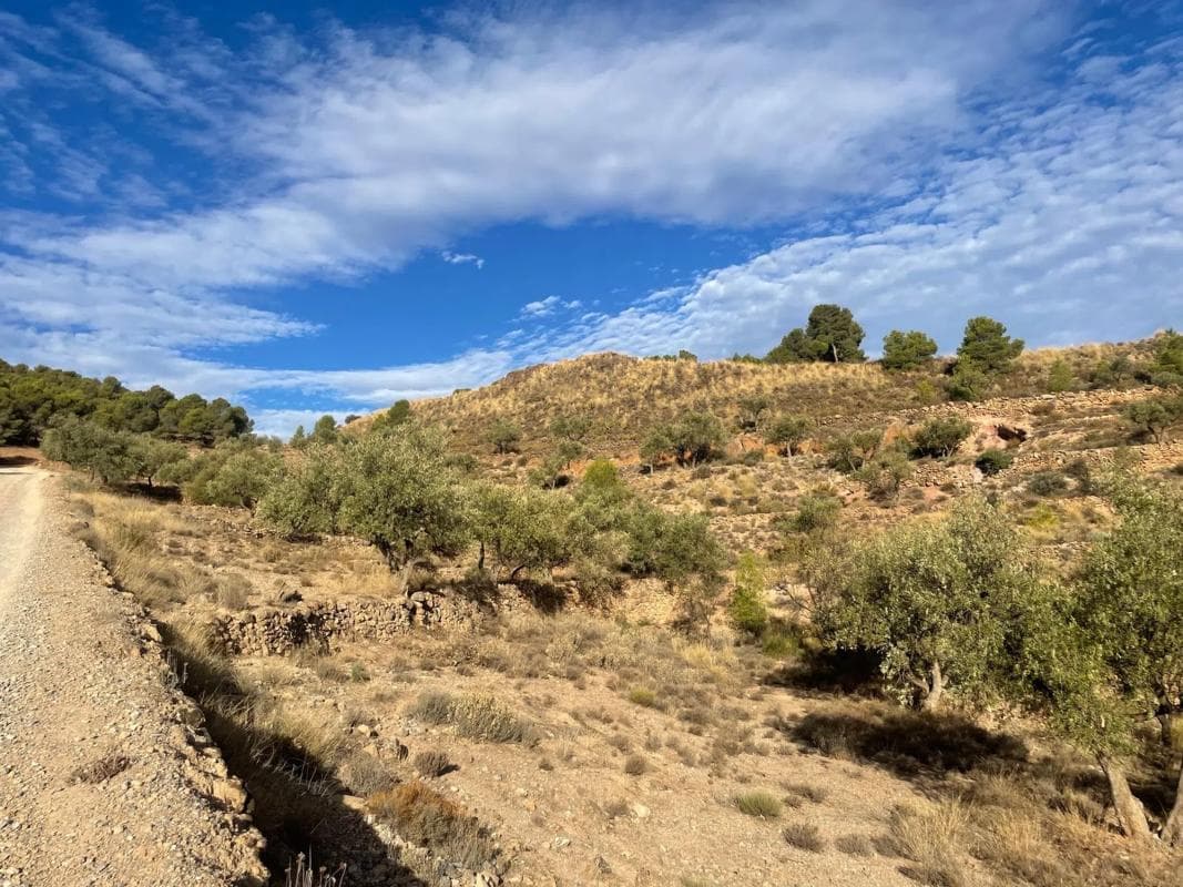 Terreno en venta en Canjayar, Almería photo 5