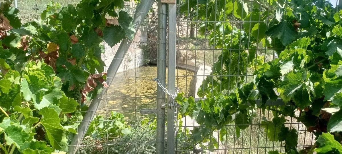 Terreno en venta en Illar, Almería photo 5