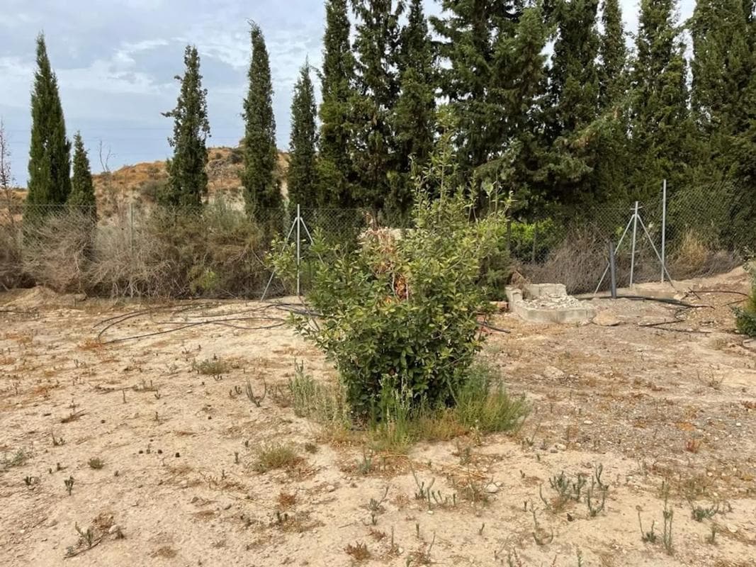 Terreno en venta en Terque, Almería photo 5