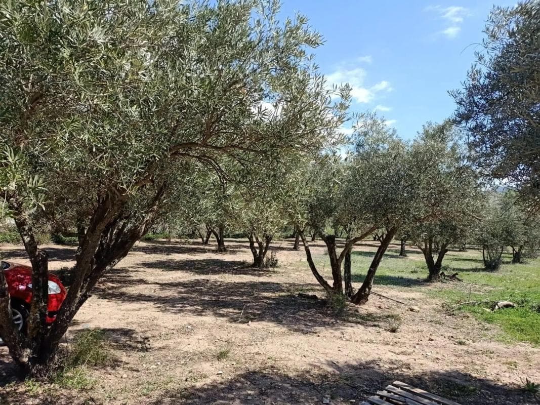 Terreno en venta en Fondón, Almería photo 4