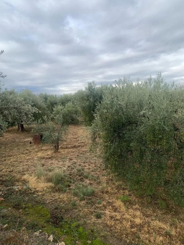Terreno en venta en Alcolea, Almería photo 4