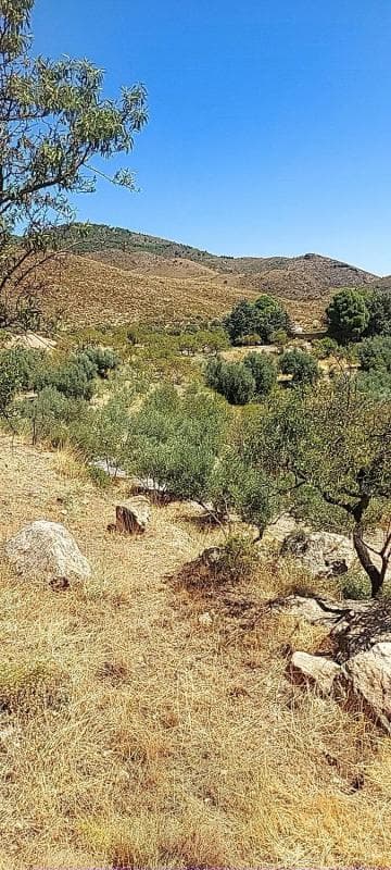 Terreno en venta en Fondón, Almería photo 4
