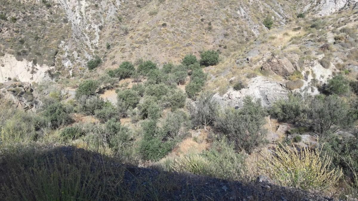 Terreno en venta en Ragol, Almería photo 5