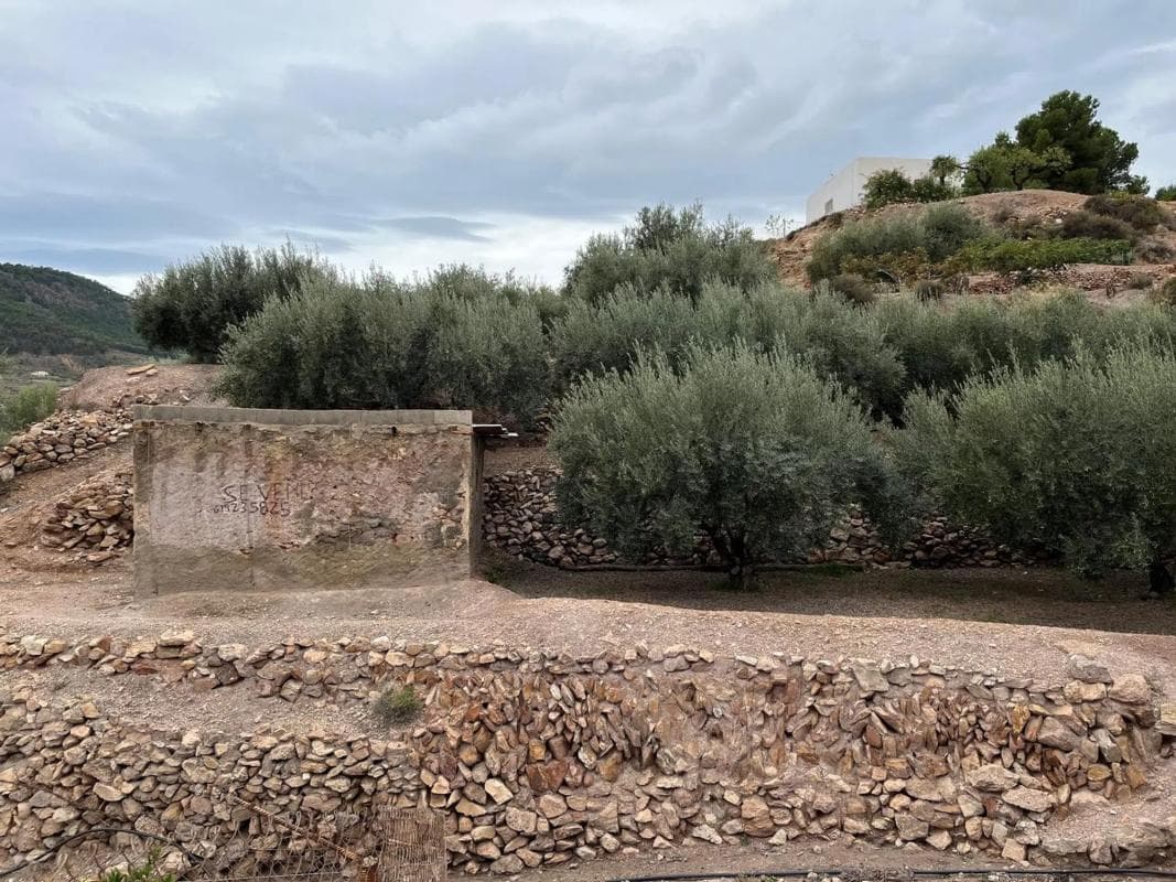Terreno en venta en Alhama de Almería, Almería photo 2
