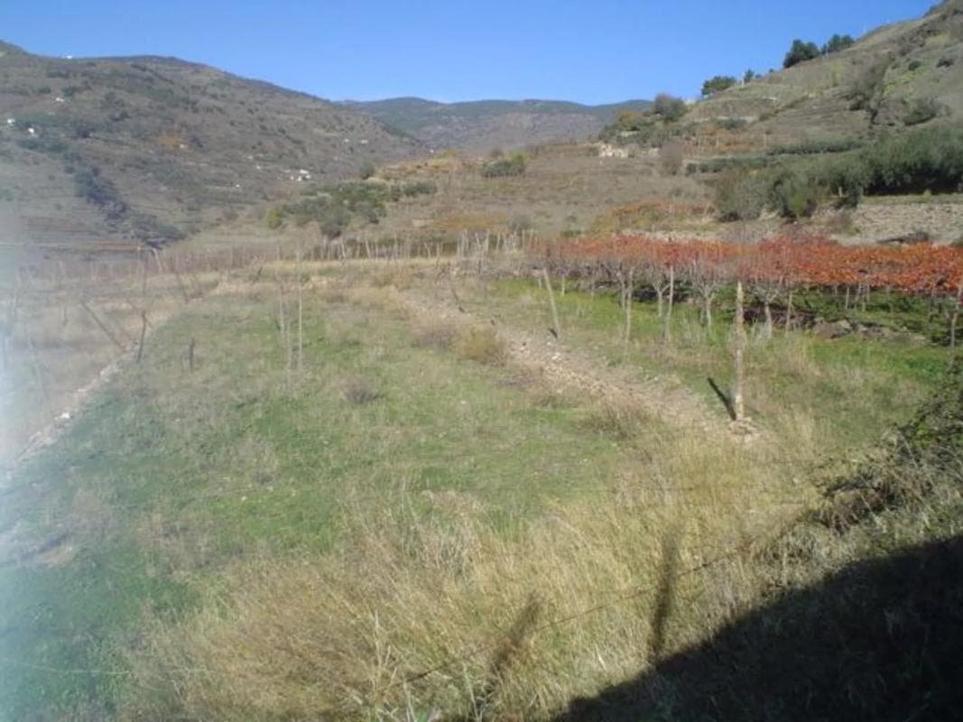 Terreno en venta en Ohanes, Almería photo 2