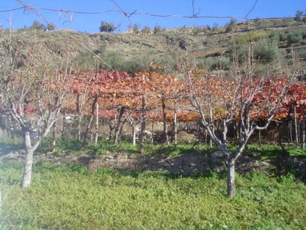 Terreno en venta en Ohanes, Almería photo 3