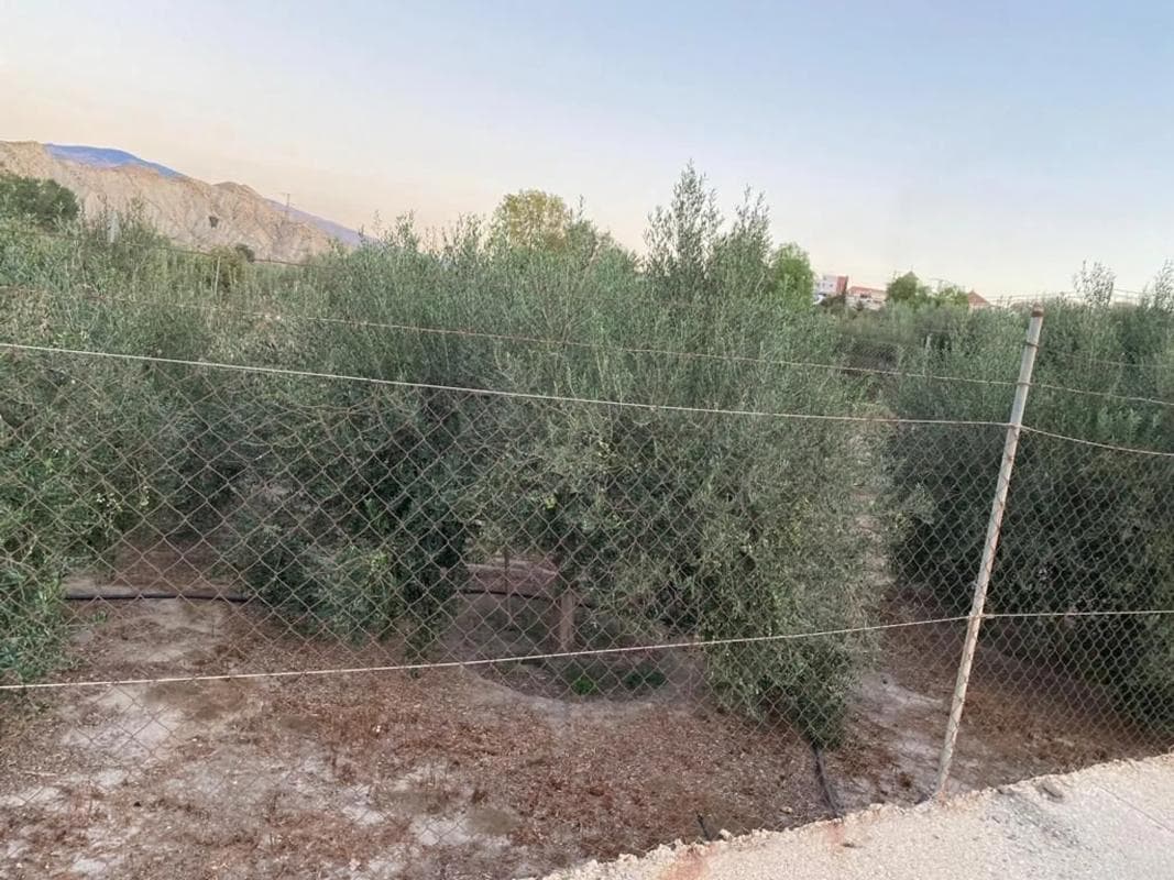 Terreno en venta en Alhabia, Almería photo 2