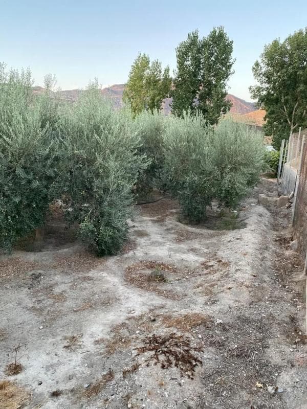 Terreno en venta en Alhabia, Almería photo 5