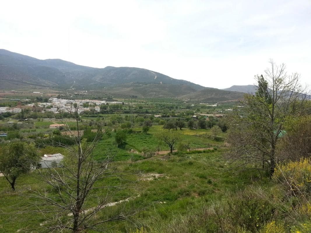 Terreno en venta en Fondón, Almería photo 2