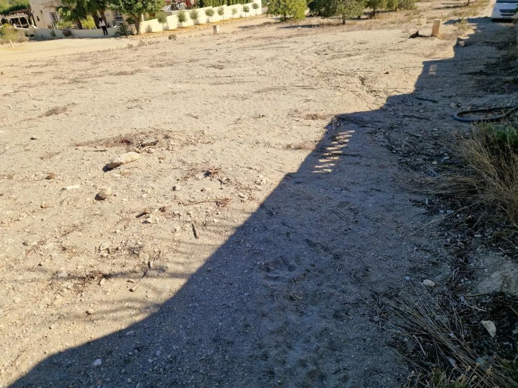 Property photo 5