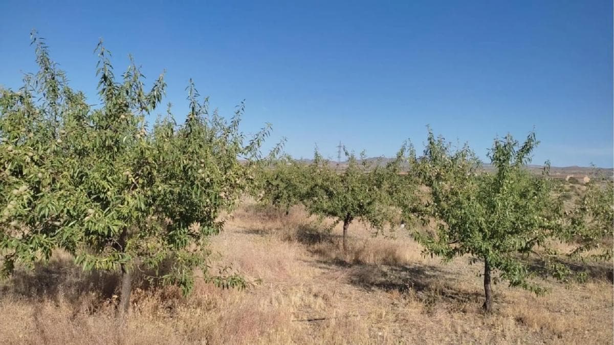 Terreno en venta en Huercal Overa, Almería photo 2