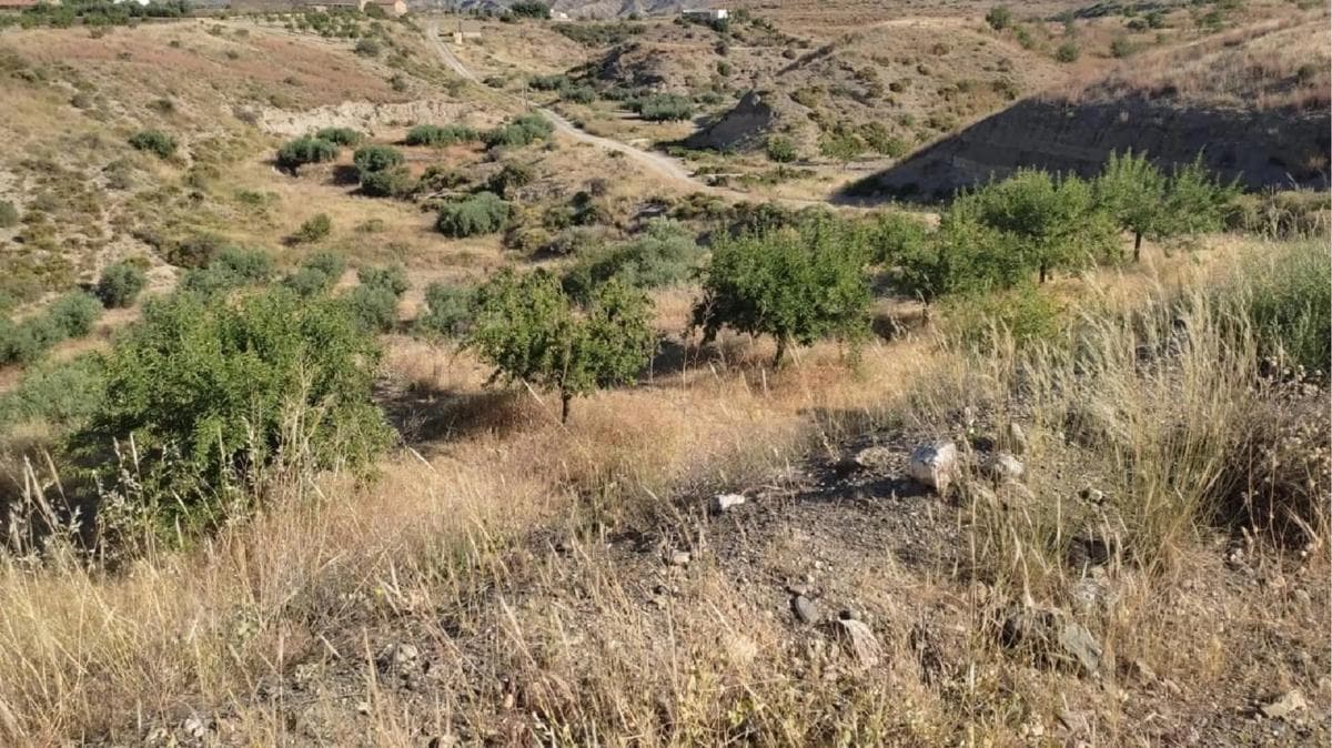 Terreno en venta en Huercal Overa, Almería photo 3